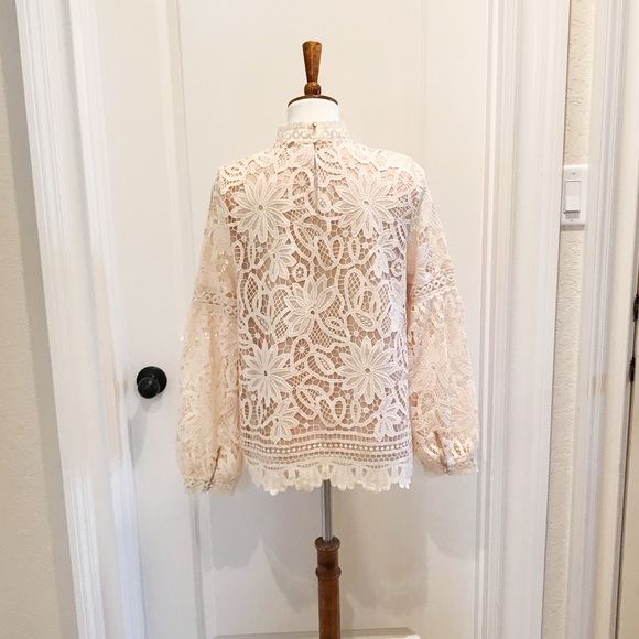 NWT Long Sleeved Lace Top - L - Picture 6 of 8